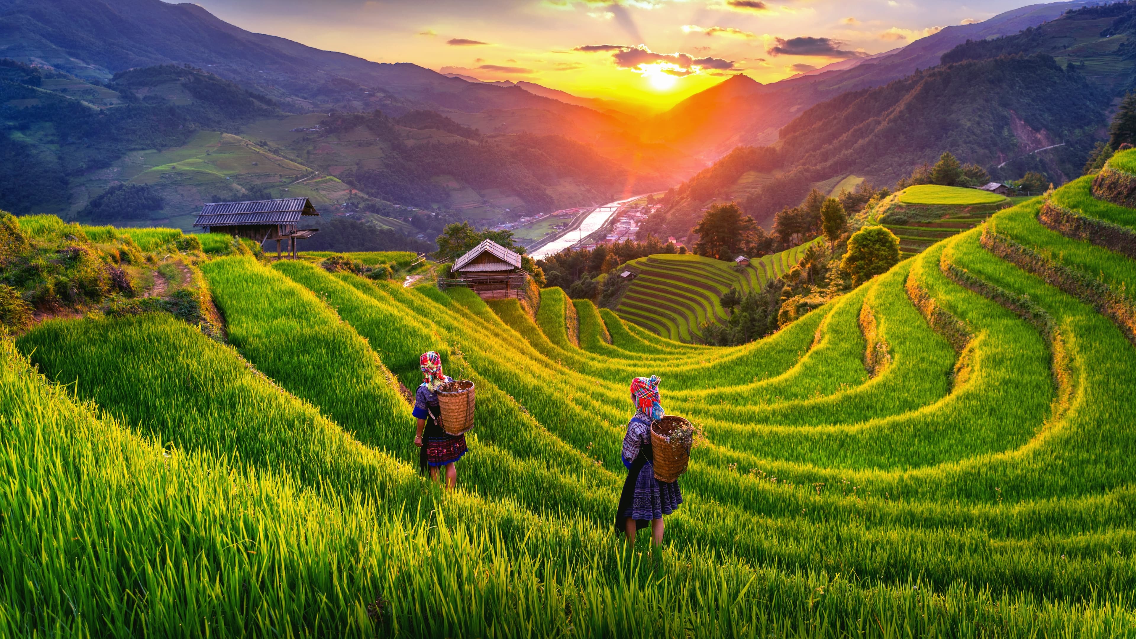 Vietnam
