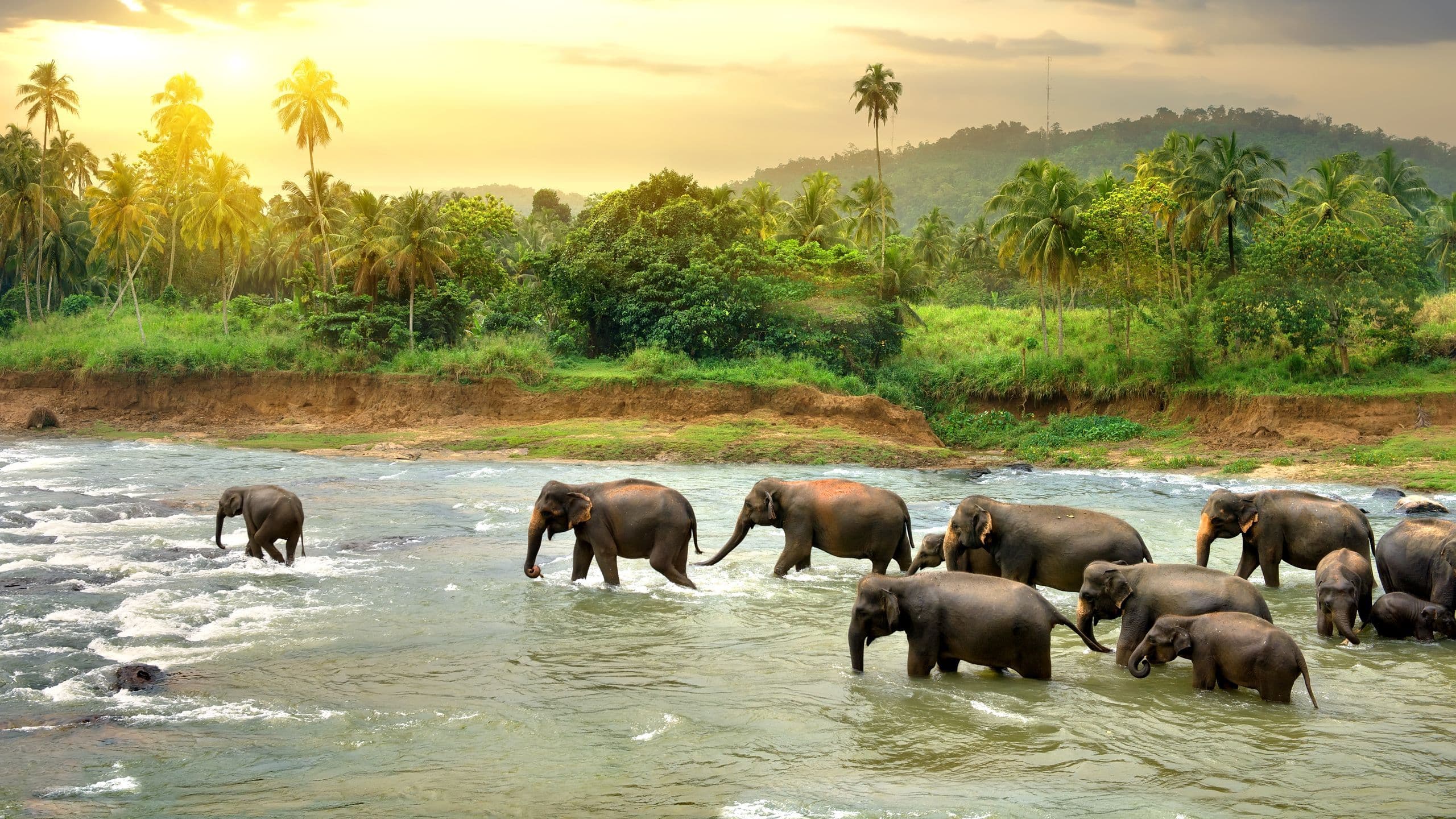 Sri Lanka 