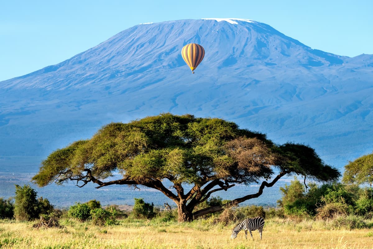 Kenya essentiel : Amboseli, Tsavo & extensions signature - Image 3