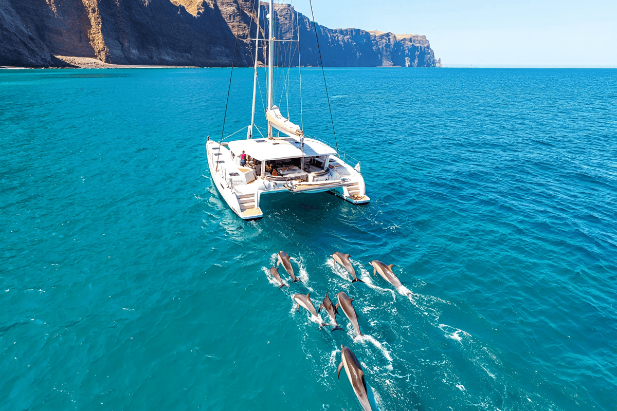 Évasion aux Canaries : Tenerife & La Gomera  - Image 4