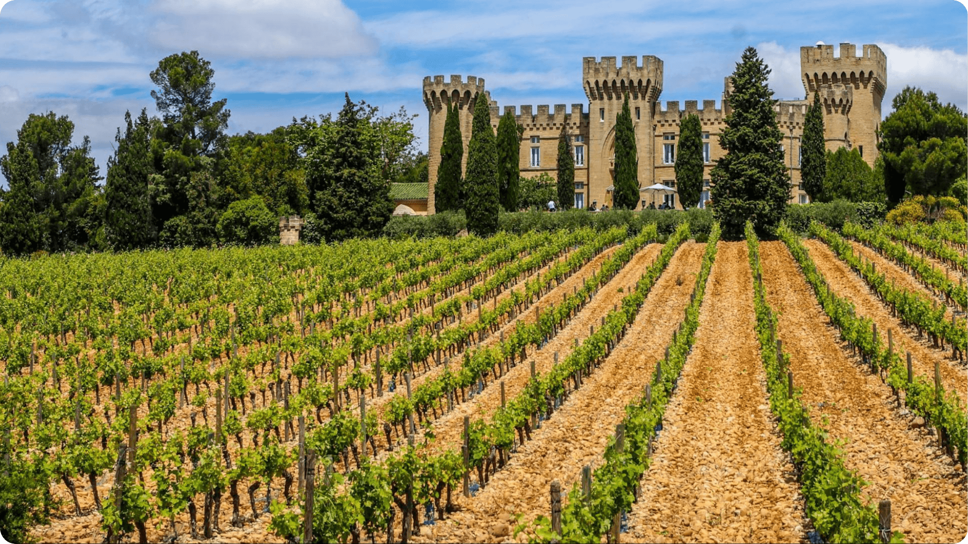 Saveurs et vignobles : de Nice à l’Italie des Langhe - Image 2
