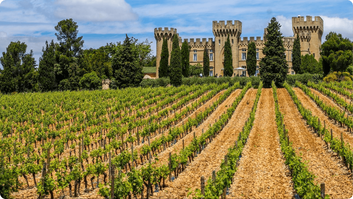 Saveurs et vignobles : de Nice à l’Italie des Langhe - Image 2