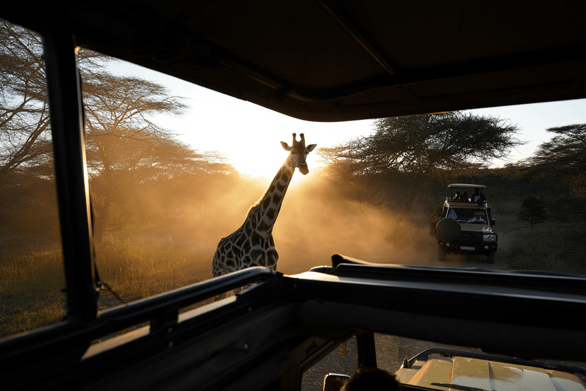 Trésors de Tanzanie - Image 4