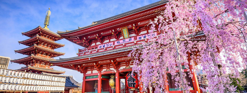 Destinations - Personnes qui trinquent